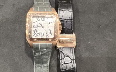 حفاظت شده: G88