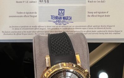 حفاظت شده: G107