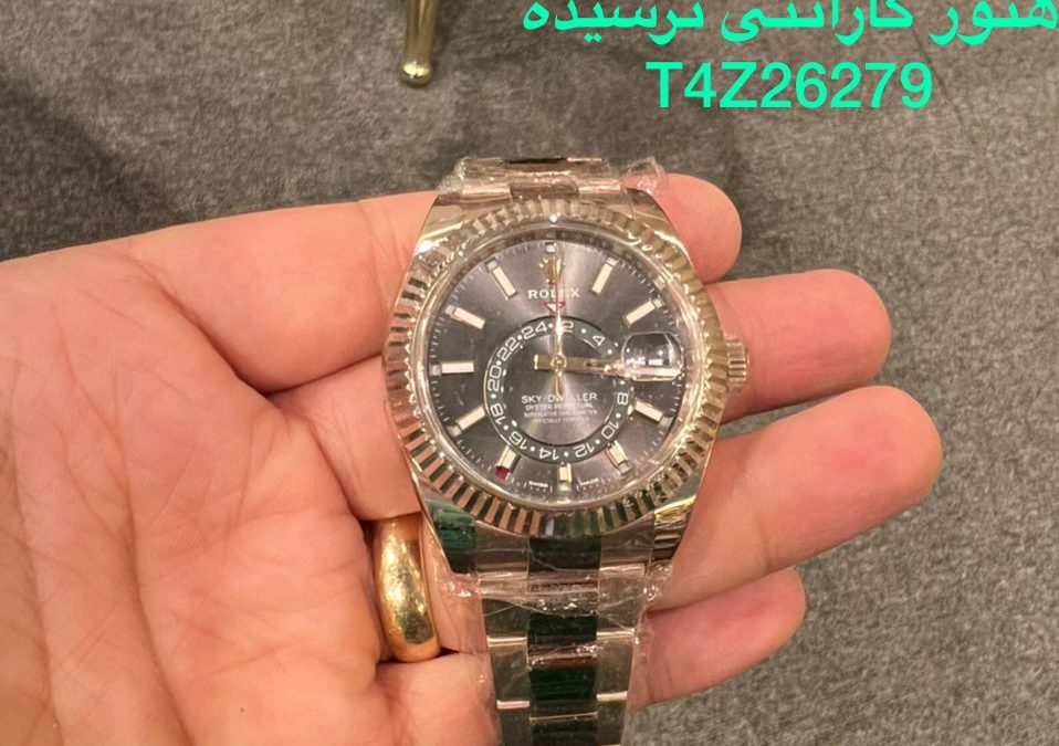 حفاظت شده: G313